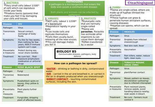 GCSE Biology Communicable Diseases (B5) Revision Mat