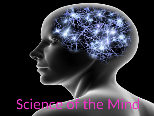 long term and short term memory