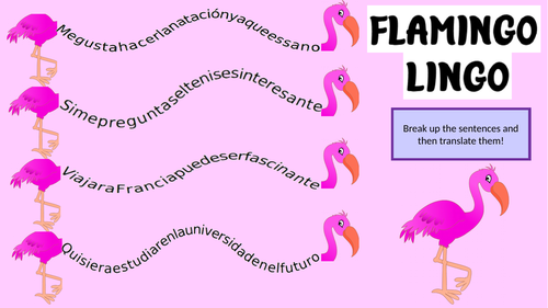 Spanish Flamingo Lingo Worksheet