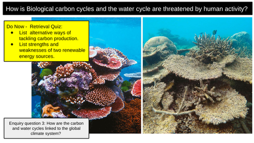 Carbon Cycle Human Activity | Teaching Resources