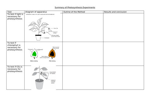 Photosynthesis Experiments