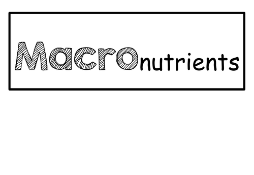Home Economics Display- Macro/Micronutrients