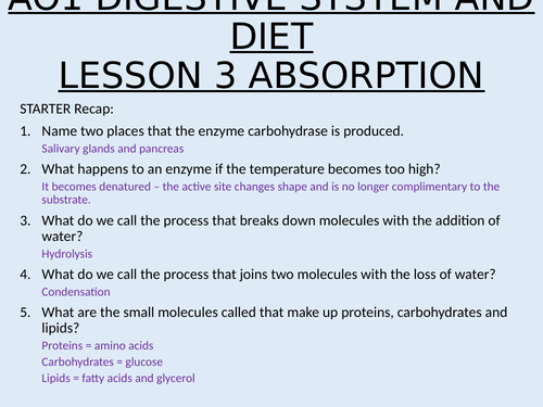 Applied Science AO1 Diet and Digestive system Lesson 3 Absorption