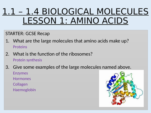 AS Topic 1 Biological Molecules 1.1 - 1.4 Biological Molecules and Enzymes Lesson 1 Amino acids