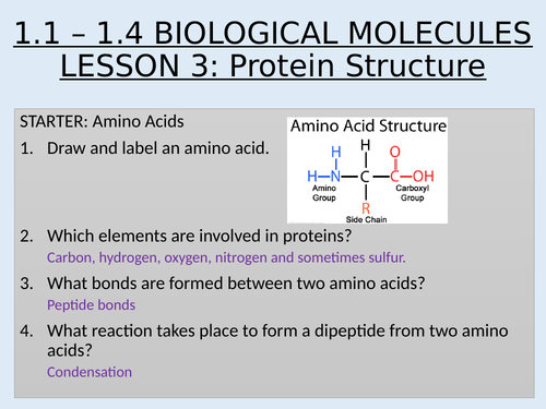 AS Topic 1 Biological Molecules 1.1 - 1.4 Biological Molecules and Enzymes Lesson 3 Protein structur