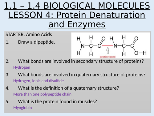 AS Topic 1 Biological Molecules 1.1 - 1.4 Biological Molecules and Enzymes Lesson 4 Protein denature