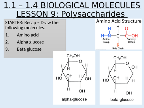 As Topic 1 Biological Molecules 11 14 Biological Molecules And Enzymes Lesson 9 6822