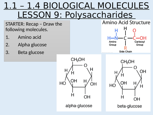 AS Topic 1 Biological Molecules 1.1 - 1.4 Biological Molecules and Enzymes Lesson 9 Polysaccharides