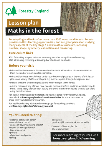 Maths in the forest lesson plan KS1 and KS2