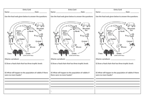 Entry Card - Food Webs