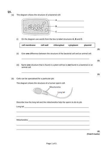 Cell specialisation and differentiation