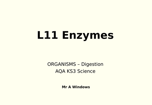 KS3 Nutrients and Digestion