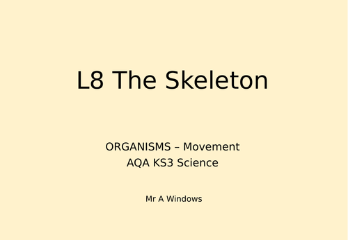 KS3 Skeleton and Muscles
