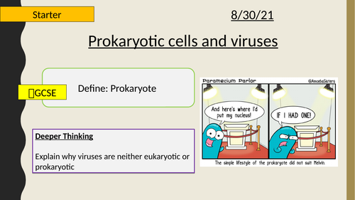 AQA A-Level New specification-Prokaryotic cells and viruses-Section 2-Cells 3.6 (3.2.1.2)