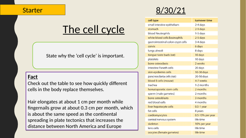 AQA A-Level New specification-The cell cycle-Cells 3.8 (3.2.2)