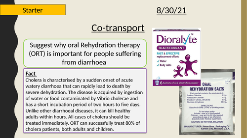 AQA A-Level New specification-Co Transport and absorption of glucose in the ileum 4.5 (3.2.3)