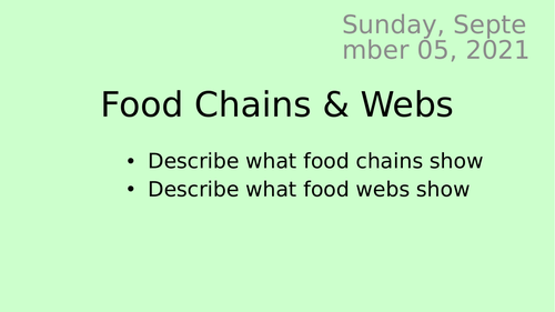 Food chains and webs