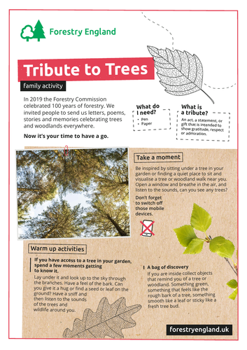 Tribute to trees activity sheet KS1 and KS2