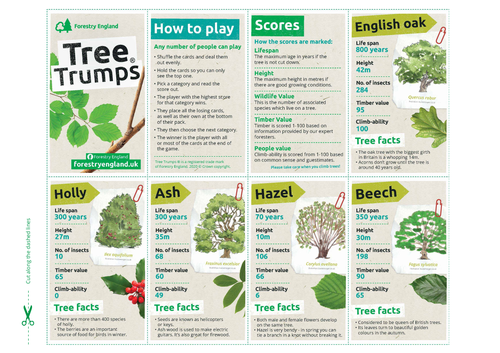 Tree Trumps card game KS1