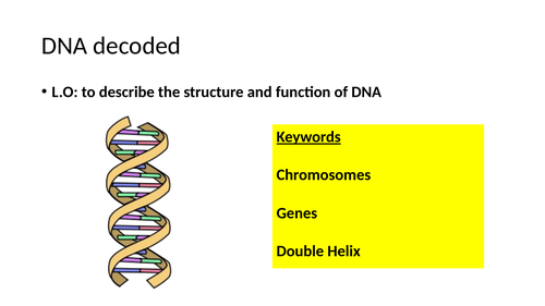 DNA basics