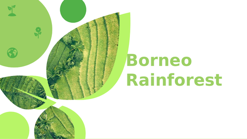 Pressures on Borneo's Rainforest