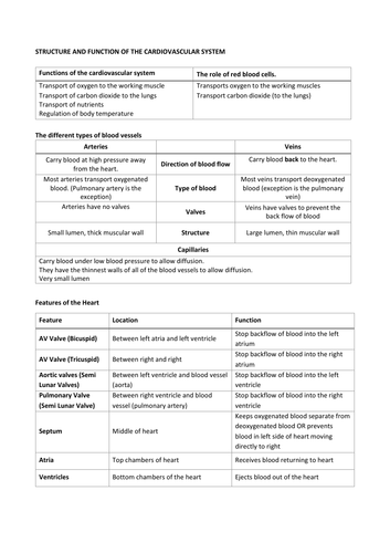 GCSE PE Cardiovascular System notes