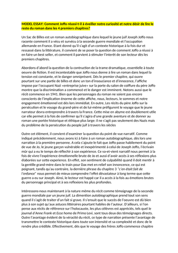 Un Sac de Billes MODEL ESSAY