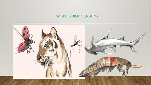 biodiversity-meaning-concepts-and-challenges-how-we-can-protect-it