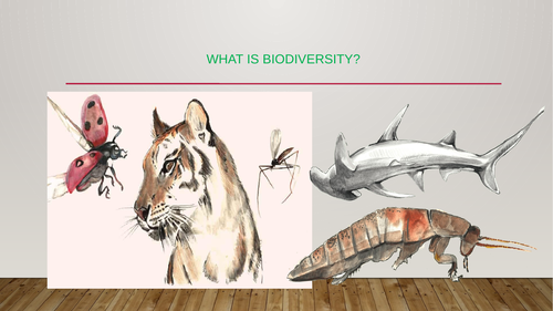 Biodiversity , meaning, concepts  and challenges.How we can protect it