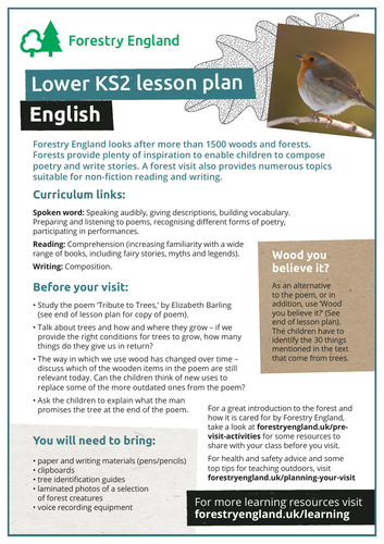 English in the forest lesson plan KS2