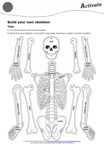 Activate One - B2 - Structure and Function of Body Systems - The Skeleton