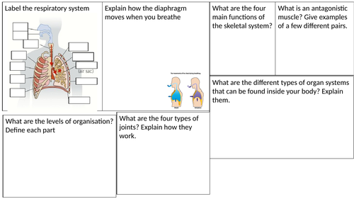 Activate One - B2 - Structure and Function of Body Systems -Revision