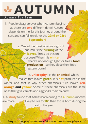 Autumn Comprehension Facts & Questions | Teaching Resources