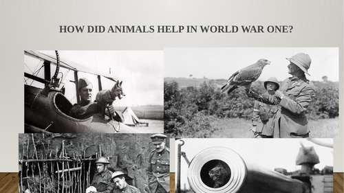 How did animals help in World War One?
