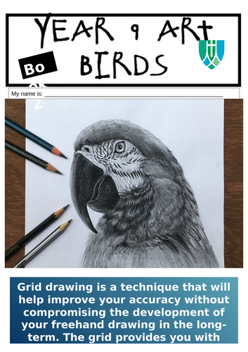 Bird Studies Art Remote Booklets Handouts Print