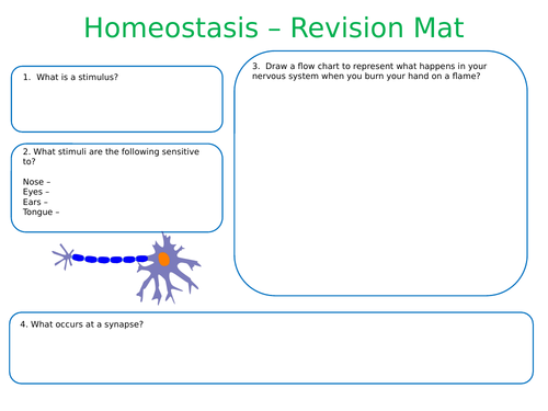 NEW AQA A-Level Biology 'Homeostasis' - Revision Placemat
