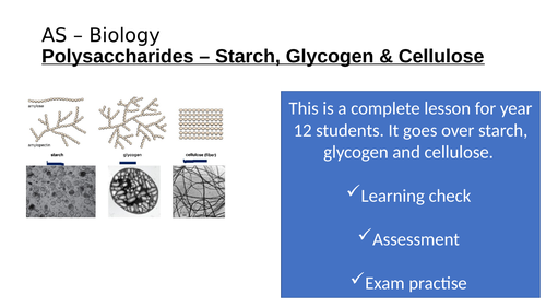 Year 12 Starch, Glycogen and Cellulose