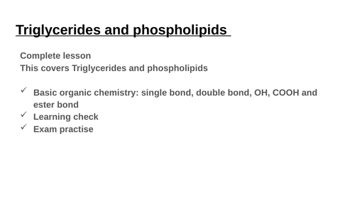 Year 12 Triglyceride and phospholipid
