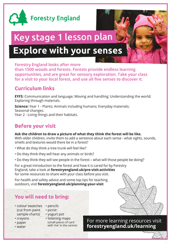 Exploring with your senses in the forest lesson plan EYFS and KS1