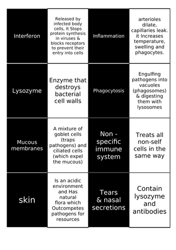 Immunology Matching cards x 48 (2x24)