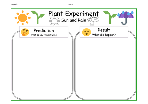 How weather affect plants experiment worksheet PYP How The World Works