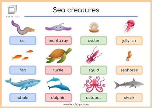 New- Sea Creatures Word Mat