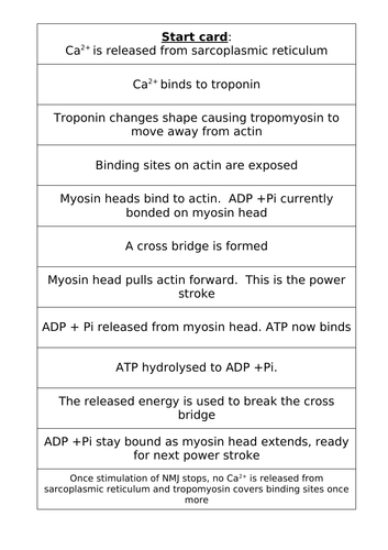 Sliding Filament Theory - Sequencing game (x12 cards) | Teaching Resources