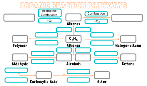 Organic Reaction Pathway Placemat