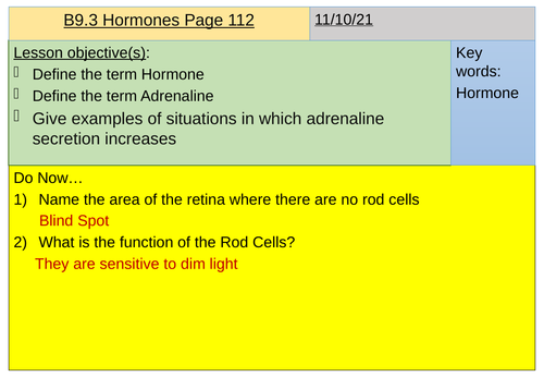 B9 Hormones