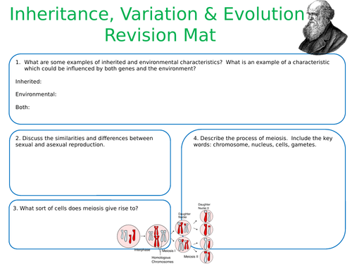 NEW AQA A-Level Biology 'Inheritance, Variation and Evolution' - Revision Placemat