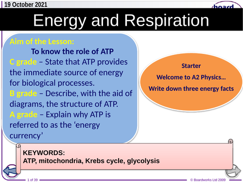 Respiration - Biology A Level: teacher ppt and student google Doc's
