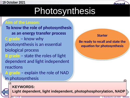 Photosynthesis - Biology A Level: teacher ppt and student google Doc's