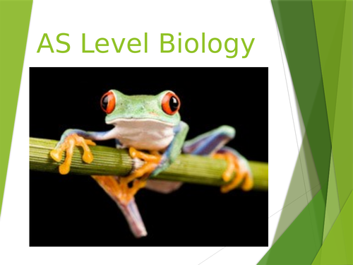 Biology GCSE/A Level online intro lesson