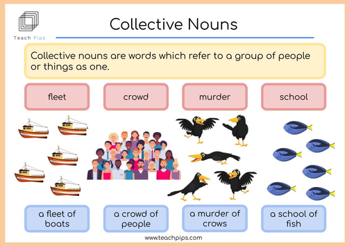 NEW- Collective Nouns